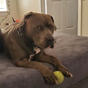 Meet your Posher, Scott